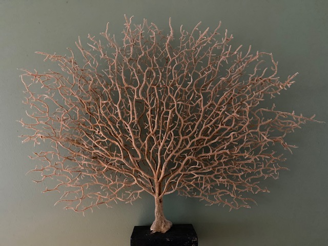 levensboom